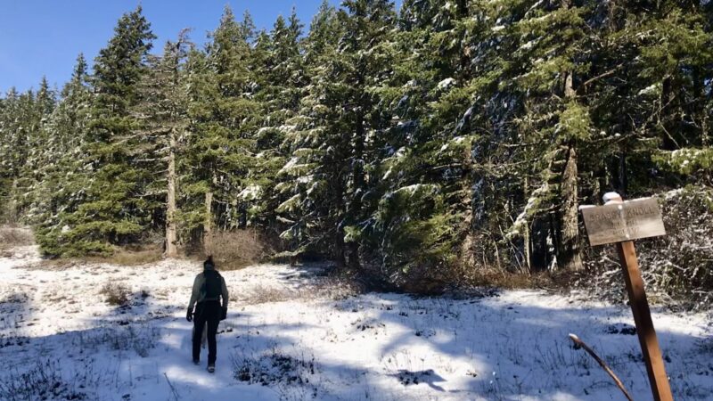 Grassy Knoll Trailhead - Carson, WA