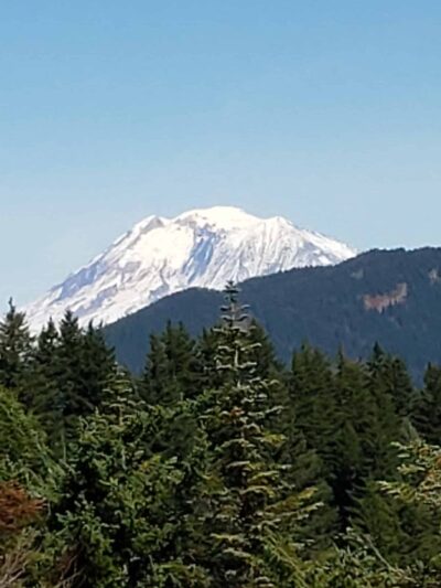 Grassy Knoll Trailhead - Carson, WA