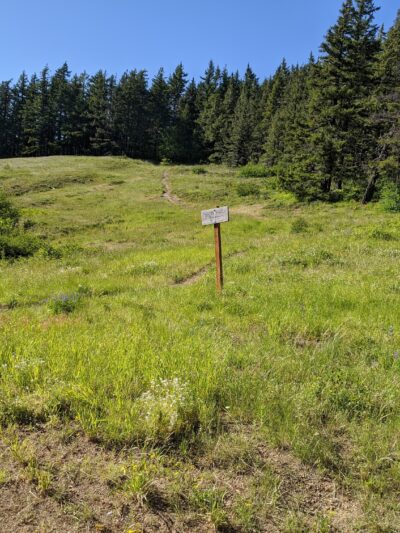 Grassy Knoll Trailhead - Carson, WA