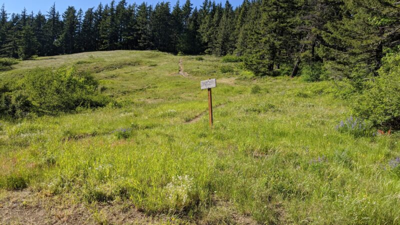 Grassy Knoll Trailhead - Carson, WA
