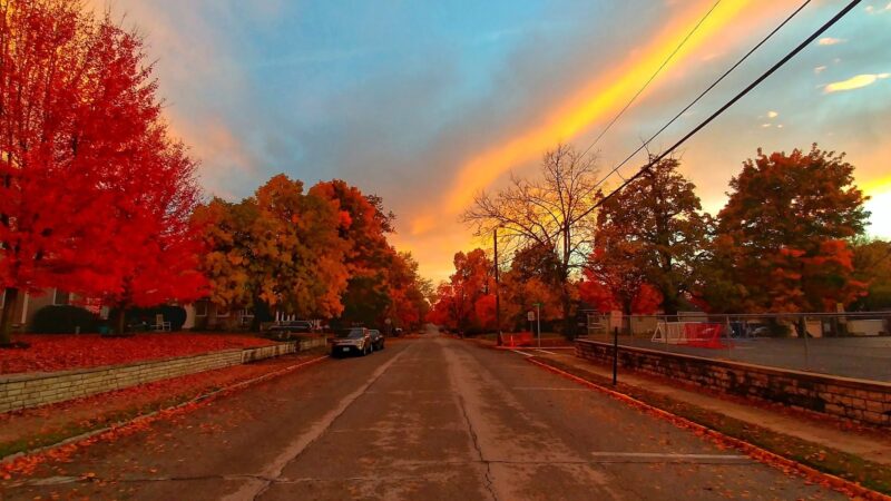 Griggs Park - Carthage, MO