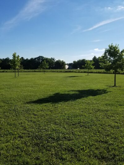 Dog Park at Hoffman Park - Cary, IL