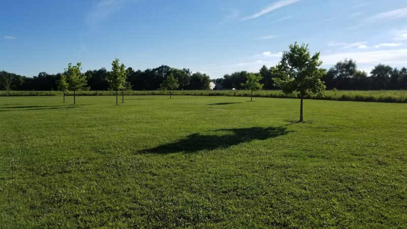 Dog Park at Hoffman Park - Cary, IL