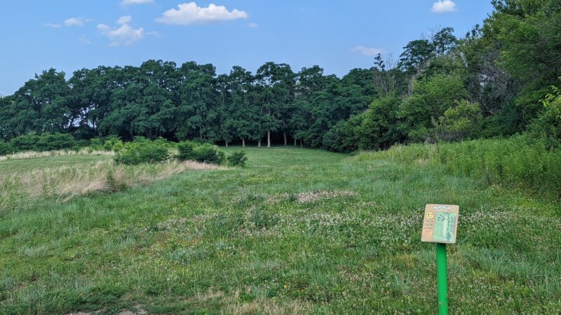 Hoffman Park - Cary, IL