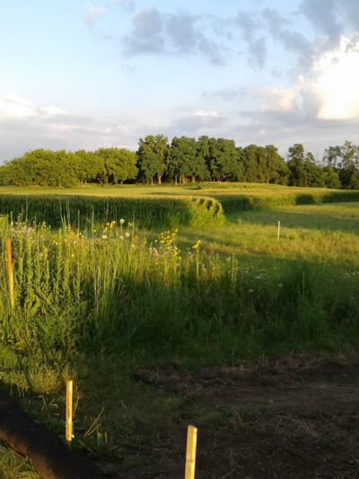 Hoffman Park - Cary, IL