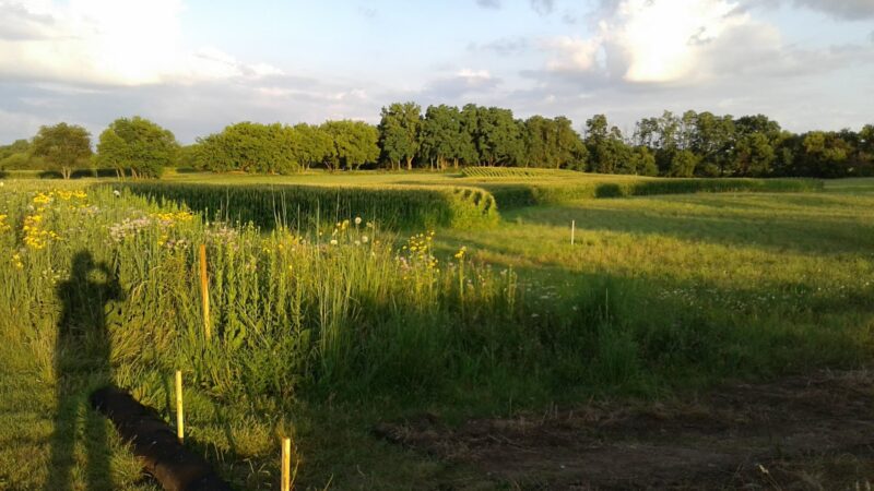 Hoffman Park - Cary, IL