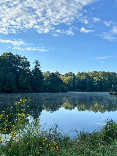 Cove Lake State Park - Caryville, TN