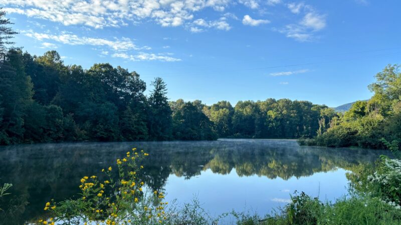 Cove Lake State Park - Caryville, TN