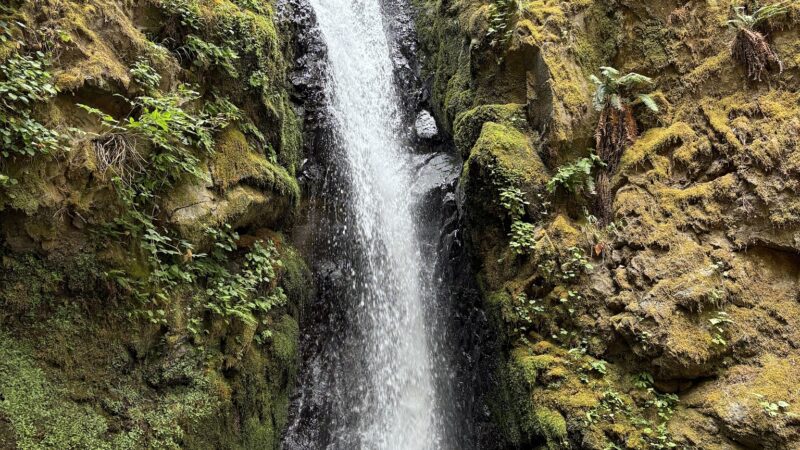Starvation Creek State Park - Cascade Locks, OR