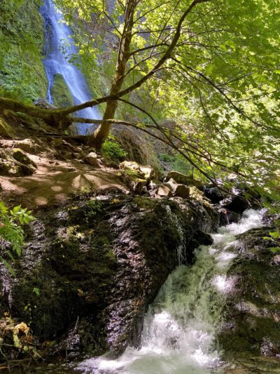 Starvation Creek State Park - Cascade Locks, OR