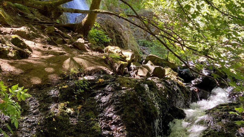 Starvation Creek State Park - Cascade Locks, OR