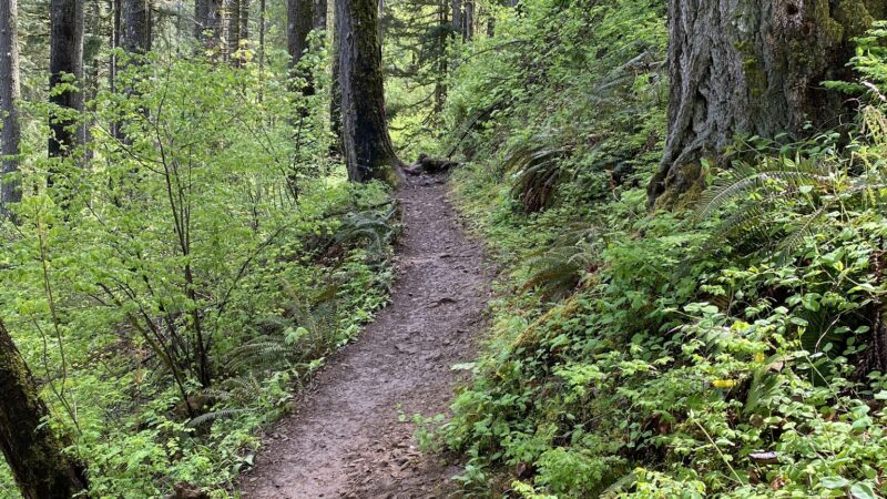 Dry Creek Falls - Cascade Locks, OR