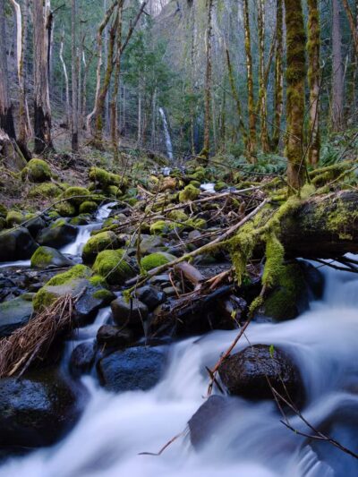 Dry Creek Falls - Cascade Locks, OR