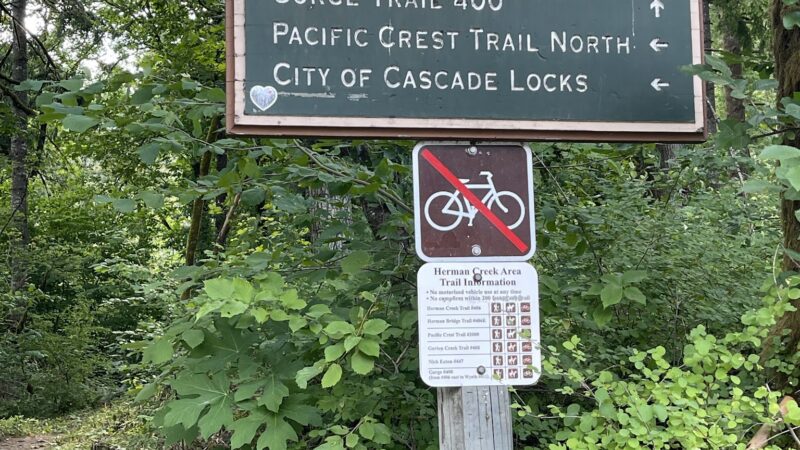 Dry Creek Falls - Cascade Locks, OR