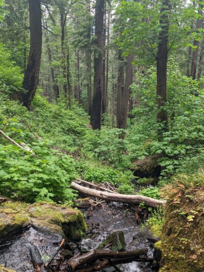 Herman Creek Trailhead - Cascade Locks, OR