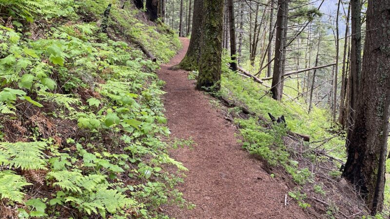 Herman Creek Trailhead - Cascade Locks, OR