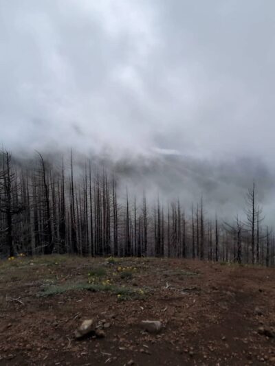Herman Creek Trailhead - Cascade Locks, OR