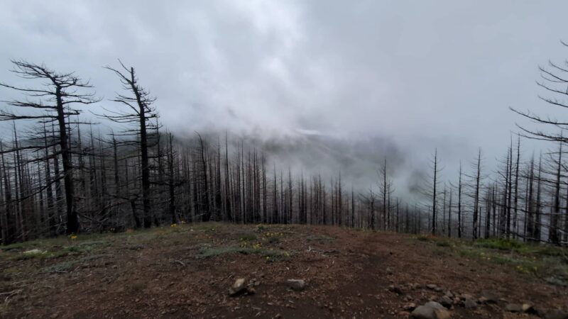 Herman Creek Trailhead - Cascade Locks, OR