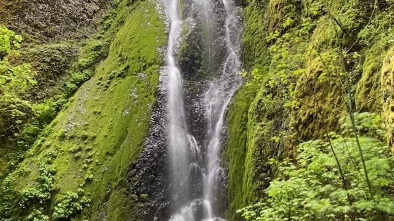 Herman Creek Trailhead - Cascade Locks, OR