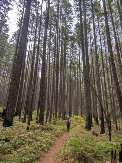 Herman Creek Trailhead - Cascade Locks, OR