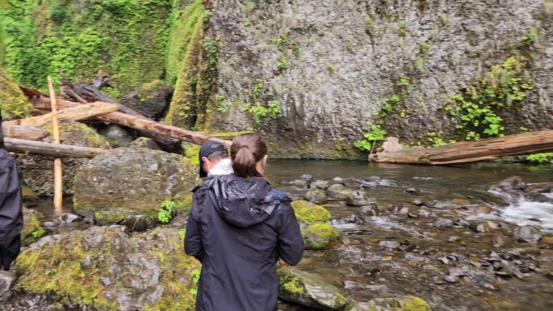 Wahclella Falls Trail - Cascade Locks, OR