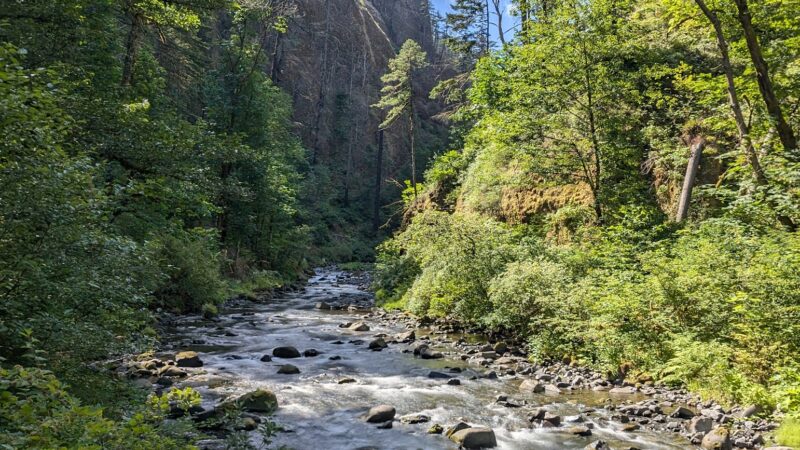 Wahclella Falls Trail - Cascade Locks, OR