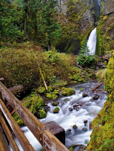 Wahclella Falls Trail - Cascade Locks, OR