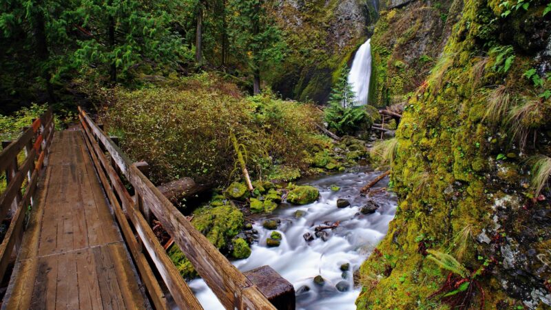 Wahclella Falls Trail - Cascade Locks, OR