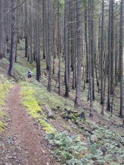 Wyeth Trailhead - Historic Columbia River Hwy State Trail - Cascade Locks, OR