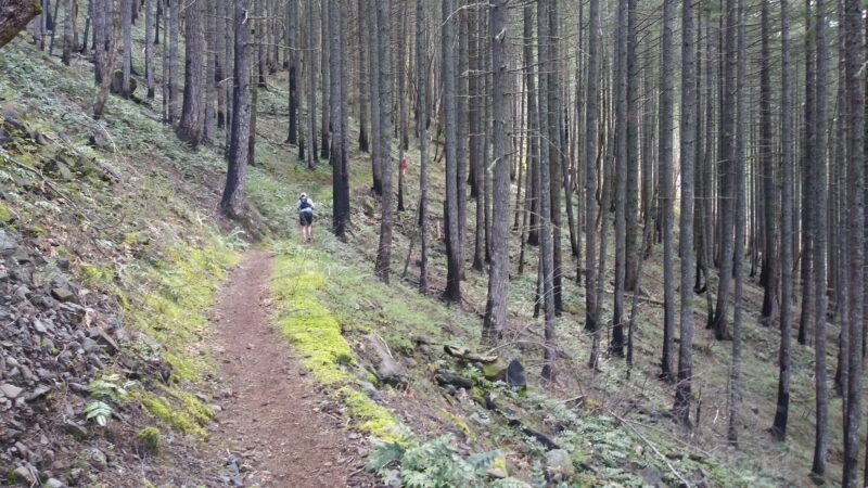 Wyeth Trailhead - Historic Columbia River Hwy State Trail - Cascade Locks, OR