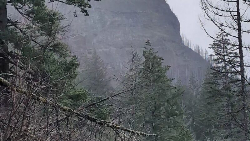 Wyeth Trailhead - Historic Columbia River Hwy State Trail - Cascade Locks, OR