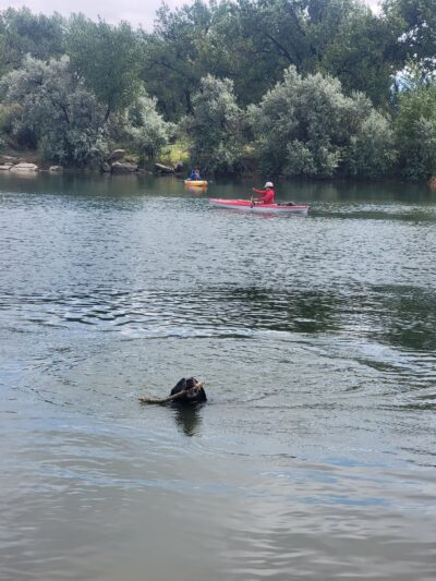 Lake McKenzie - Casper, WY