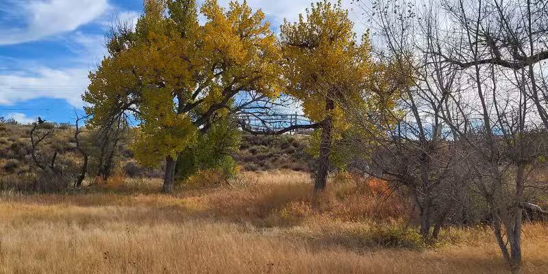 Morad Park - Casper, WY