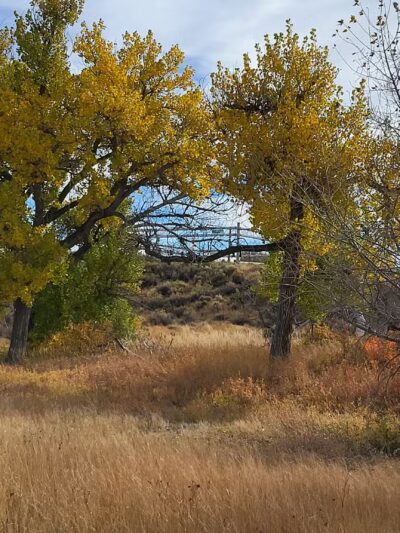 Morad Park - Casper, WY