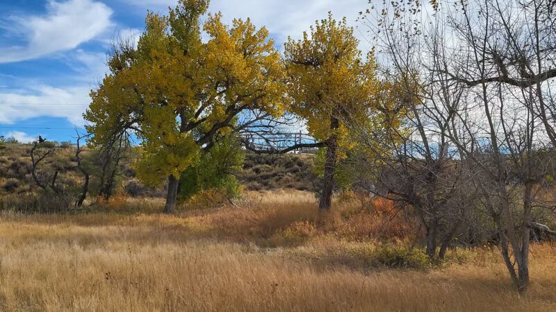 Morad Park - Casper, WY