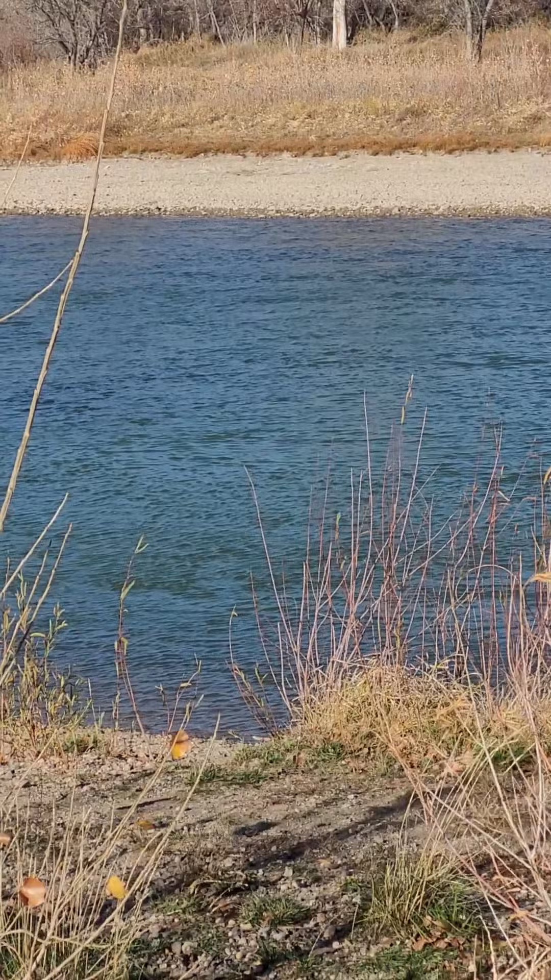 Morad Park - Casper, WY