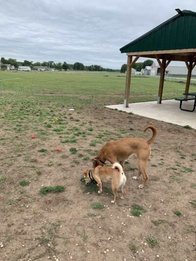 Cassville Dog Park - Cassville, WI