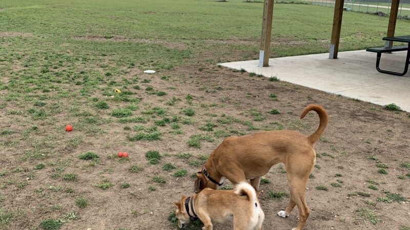 Cassville Dog Park - Cassville, WI