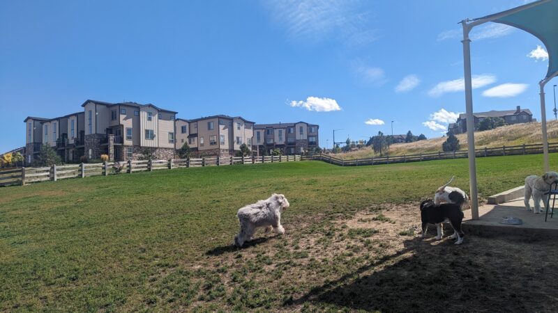 Douglas County Off-leash Area - Castle Rock, CO