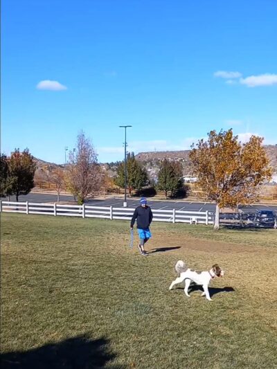 Douglas County Off-leash Area - Castle Rock, CO