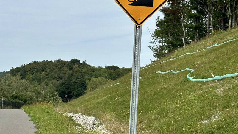 Albany-Hudson Rail trail Miller Rd. Trailhead - Castleton-On-Hudson, NY