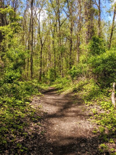 Papscanee Island Nature Preserve - Castleton-On-Hudson, NY