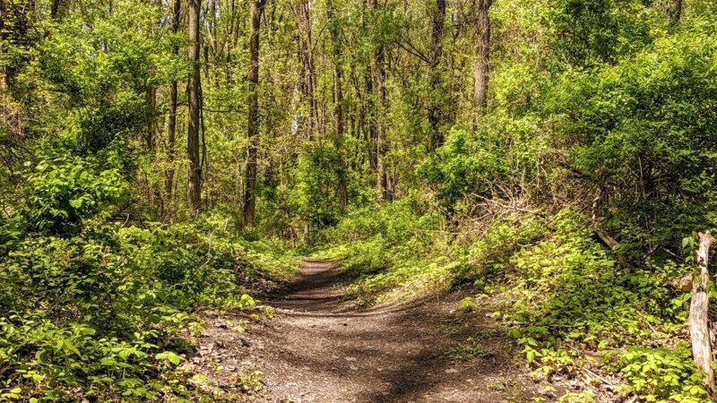 Papscanee Island Nature Preserve - Castleton-On-Hudson, NY