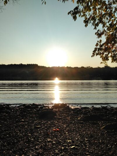 Papscanee Island Nature Preserve - Castleton-On-Hudson, NY