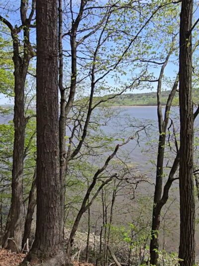 Papscanee Island Nature Preserve - Castleton-On-Hudson, NY