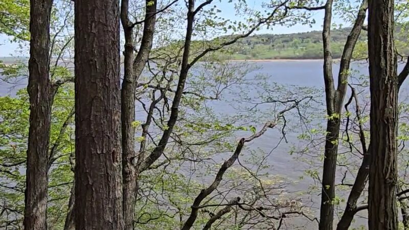 Papscanee Island Nature Preserve - Castleton-On-Hudson, NY