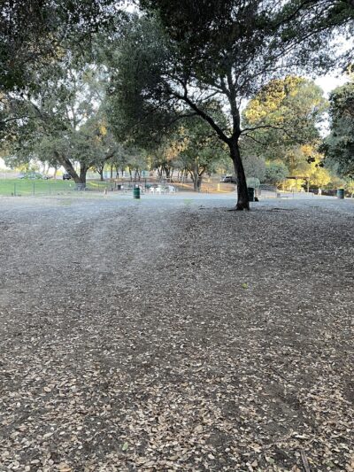 Earl Warren Dog Park - Castro Valley, CA