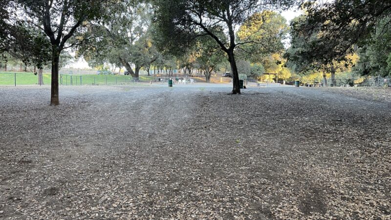 Earl Warren Dog Park - Castro Valley, CA