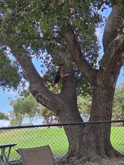 Earl Warren Dog Park - Castro Valley, CA
