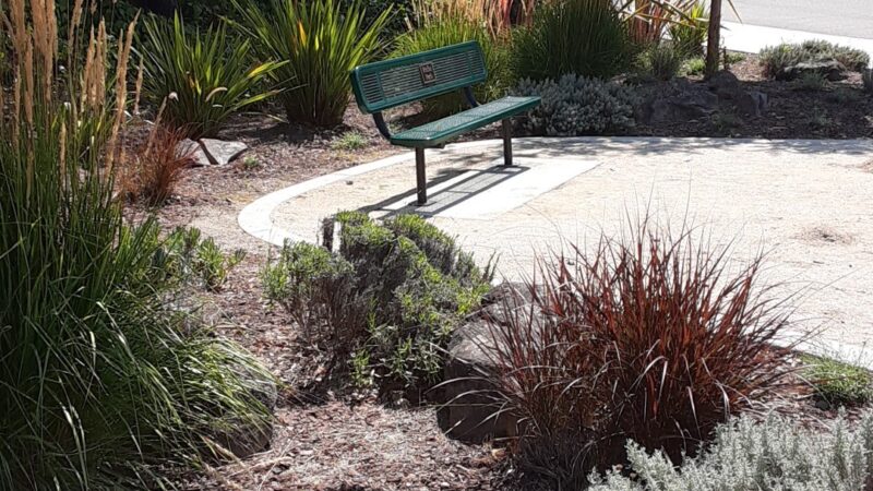 Riche Park - Castro Valley, CA